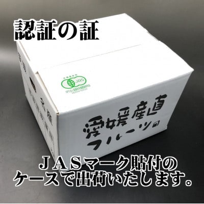 【JAS認証有機栽培】こんな柑橘初めてプルプル新食感「まどんな」約3kg【C39−25】【1044609】