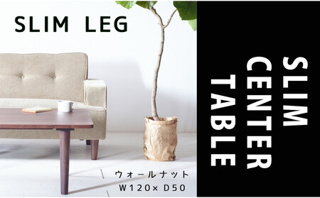 【どんなお部屋にもぴったり】 やさしいデザインのスリムセンターテーブル 120×50 ウォールナット ローテーブル 無垢材 国産 大川家具