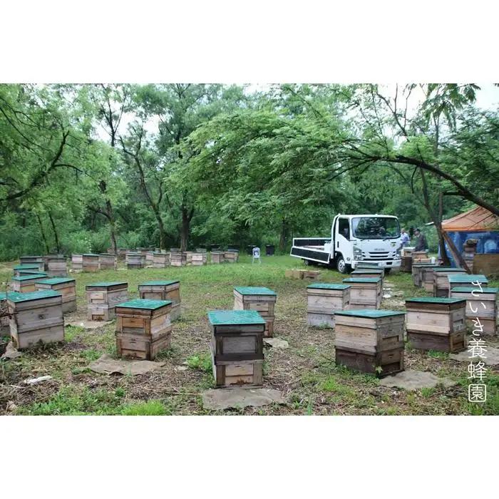 さいき養蜂園　非加熱蜂蜜　そば　１kg×２本【ハチミツ 蜂蜜 ハニー 非加熱 セット 健康食品 国産 保存 備蓄 防災 非常食 常温】