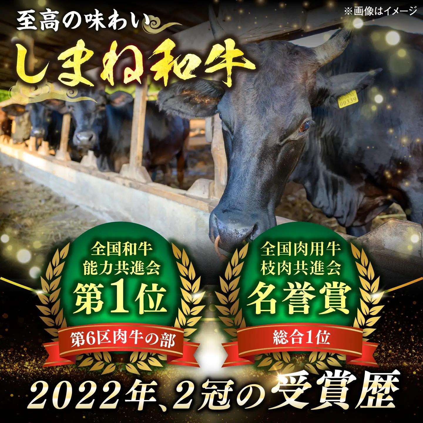 しまね和牛ロース 2.0kg(400g×5パック) 焼肉用 [ALFR012]