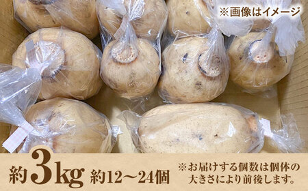 野菜ソムリエサミット金賞 れんこん約3kg / れんこん 2026年8月～発送  [IDC003]