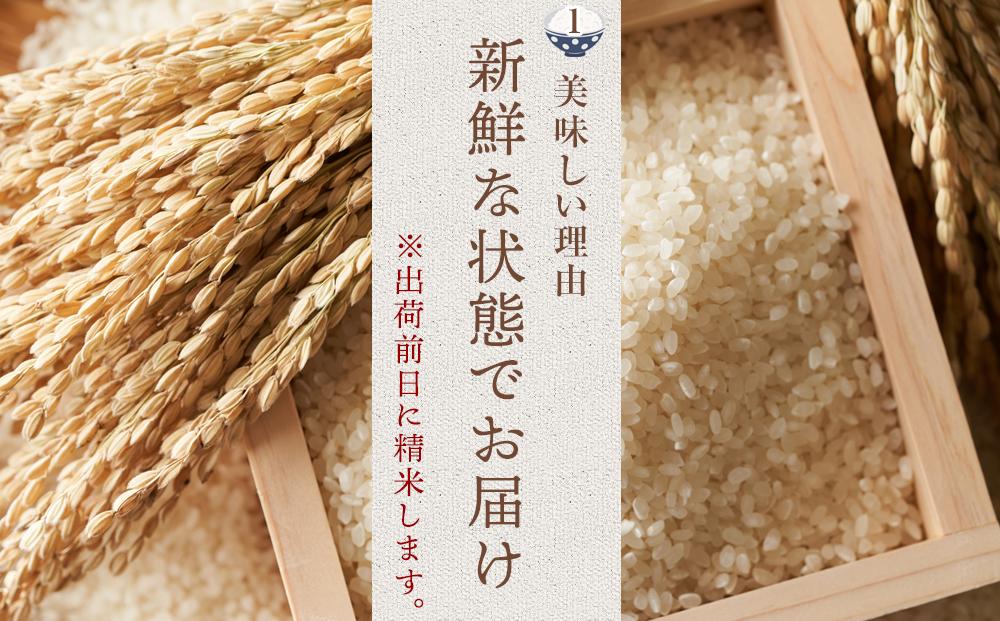 【令和7年産】福岡県産 米 夢つくし 5kg (1袋 )