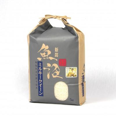 ふるさと納税 魚沼市 【毎月定期便】魚沼産特別栽培ミルキークイーン　精米5kg全10回