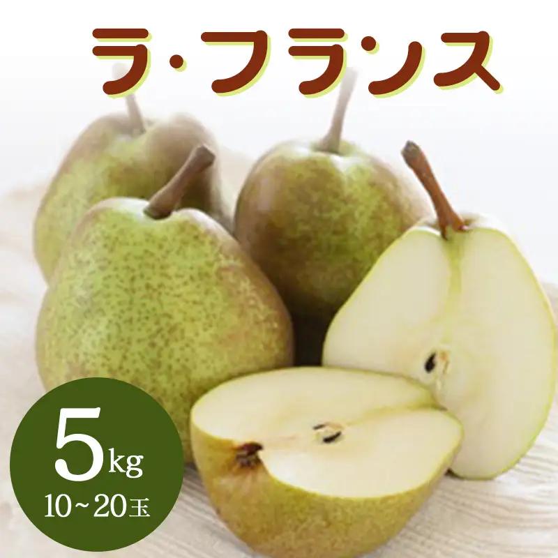 ラ・フランス 5kg なし ナシ 梨 デザート フルーツ 果物 くだもの 果実 食品 山形県 FSY-2897