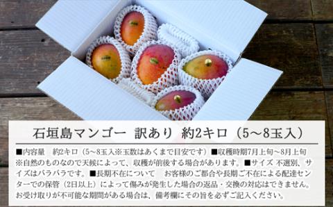 【先行受付】訳あり 沖縄マンゴー（石垣島産）2kg ときわマンゴー農園【2024年7月～8月中旬に順次発送予定】TK-2-1