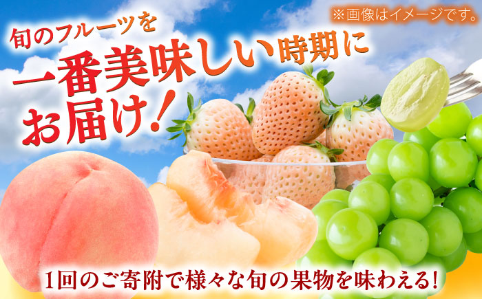 【全3回定期便】佐賀県の生産者を応援！いちごと桃とシャインマスカットを楽しむ定期便 / いちご シャインマスカット 桃 フルーツ / 佐賀県ふるさと納税 [41AAZZ020]