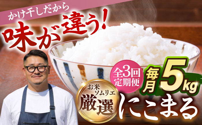 【全3回定期便 】【R7年度産】天日自然乾燥米 にこまる 5kg《壱岐市》【長米壱岐営業所】[JCZ010] 米 お米 白米 精米 ご飯 ごはん 5キロ 15kg 15キロ かけ干し 自然乾燥 特A
