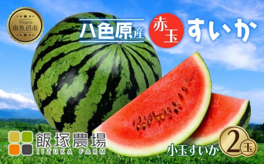 【先行受付】 八色原産 赤玉すいか 小玉 2玉 スイカ 赤肉 西瓜 果物 フルーツ 旬 希少 貴重 甘い 国産 産地直送 ギフト 贈答 自家用 常温 お取り寄せ 送料無料 飯塚農場 新潟県 南魚沼市
