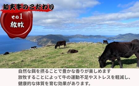 限定10セット【知夫里島】経産牛ヒレステーキ３００g 