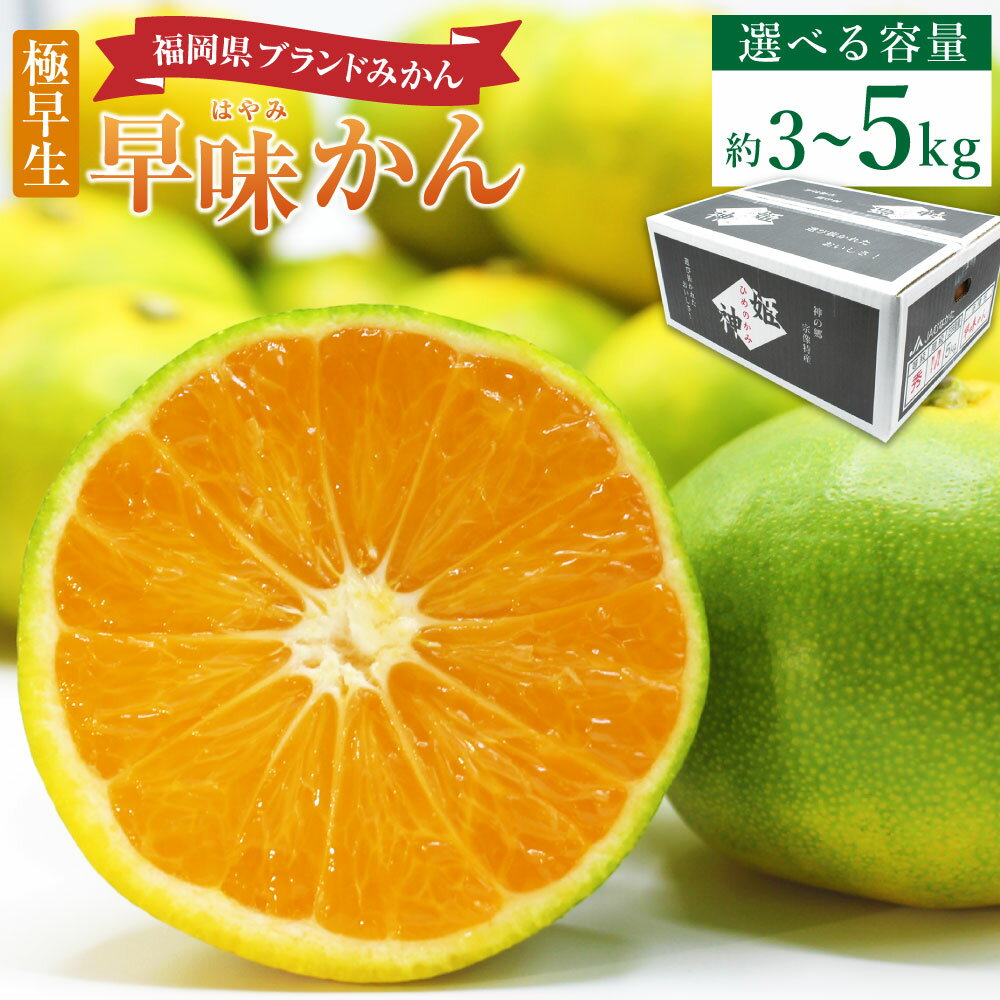 【ふるさと納税】福岡県 ブランドみかん 「早味かん」 3kg ／ 5kg ＜選べる内容量＞ ミカン 蜜柑 くだもの 果物 果実 フルーツ 冷蔵 福岡県産 国産 福岡県 香春町 送料無料 【2026年9月下旬～10月下旬発送予定】