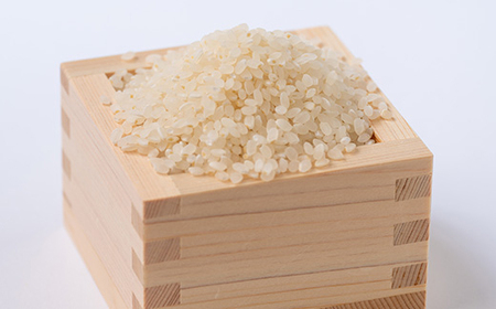 令和5年産　コシヒカリ 5kg【1431741】