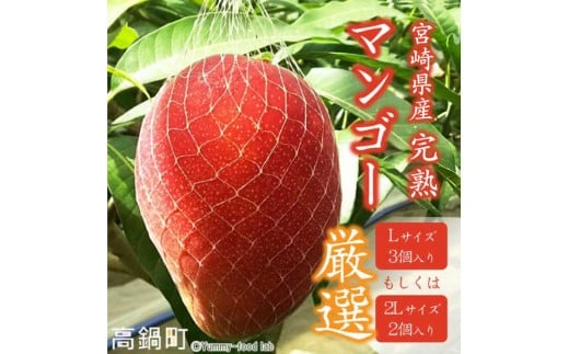 【先行予約】＜宮崎県産 完熟マンゴー （Lサイズ 3個 もしくは 2Lサイズ 2個）＞ 2026年4月上旬～9月上旬迄に順次出荷  果物 フルーツ マンゴー くだもの 特産品 完熟 国産 宮崎県 高鍋町