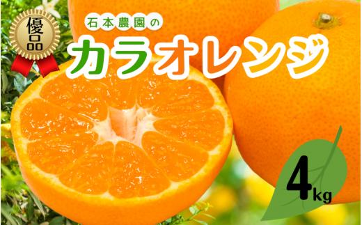 みかん オレンジ M以上の優品 石本農園のカラオレンジ約4kg【2026年4月初旬から下旬までに順次発送】 / みかん ミカン 蜜柑 カラ カラオレンジ【mis008A】