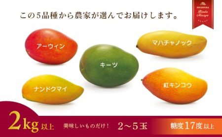 【オンライン決裁限定】 【 先行予約 : 2025年6月頃より順次発送 】 完熟マンゴー 2kg 糖度 17 以上 厳選 フルーツ 果物 国産 フルーツ トロピカルフルーツ アーウィン マハチャノック