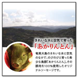 【テレビで紹介】奄美島豚 あかりんとん ソーセージミニセット - ソーセージ 5種 詰め合わせ ミニセット 肉 お肉 島豚 ブランド豚 ホワイト スモーク ジャンボフランク ボロニア ボンレスハム ハ