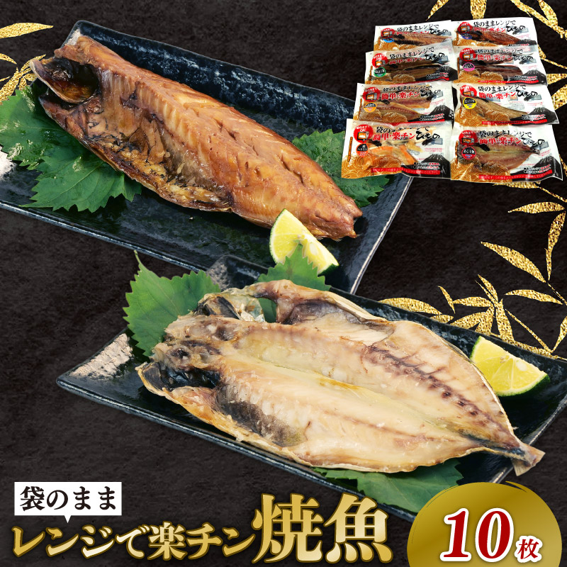 干物 詰め合わせ セット 5種 10枚 レンジ 簡単調理 真空パック 個包装 お手軽 ひもの あじ ほっけ さば フィーレ さば味醂 さけ 静岡県 沼津市 魚介 干物セット 美味しい 極上 静岡 沼津 コスパ