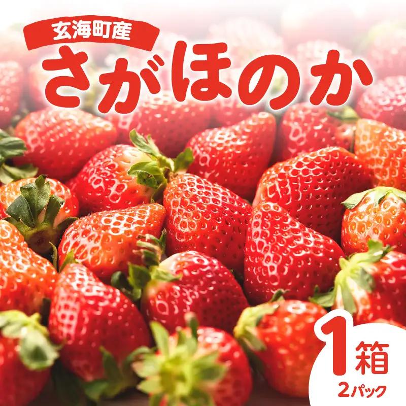 佐賀県玄海町産いちご「さがほのか」 ／ さがほのか【D022】