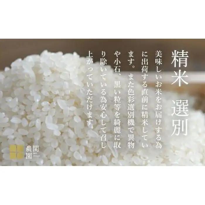 【定期便令和7年】南魚沼コシヒカリ５kg×全6回　旧塩沢地区限定米 | コシヒカリ