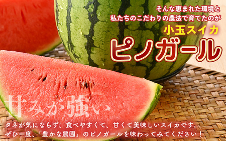 【先行予約】 安心安全！減農薬！こだわり農法で育てた至高のピノガール (小玉スイカ) 2玉 (1玉あたり：1.3kg以上) 【2026年7月中旬以降順次発送予定】 【スイカ 西瓜 すいか デザート 果