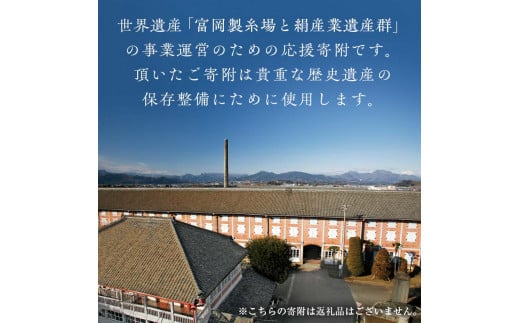 ＼世界遺産!!／ 富岡製糸場 応援寄附金 100,000円分（返礼品なし） F20E-949