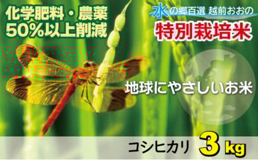 【令和7年産 新米】こしひかり（福井県大野市産）福井県特別栽培米 3kg【白米】