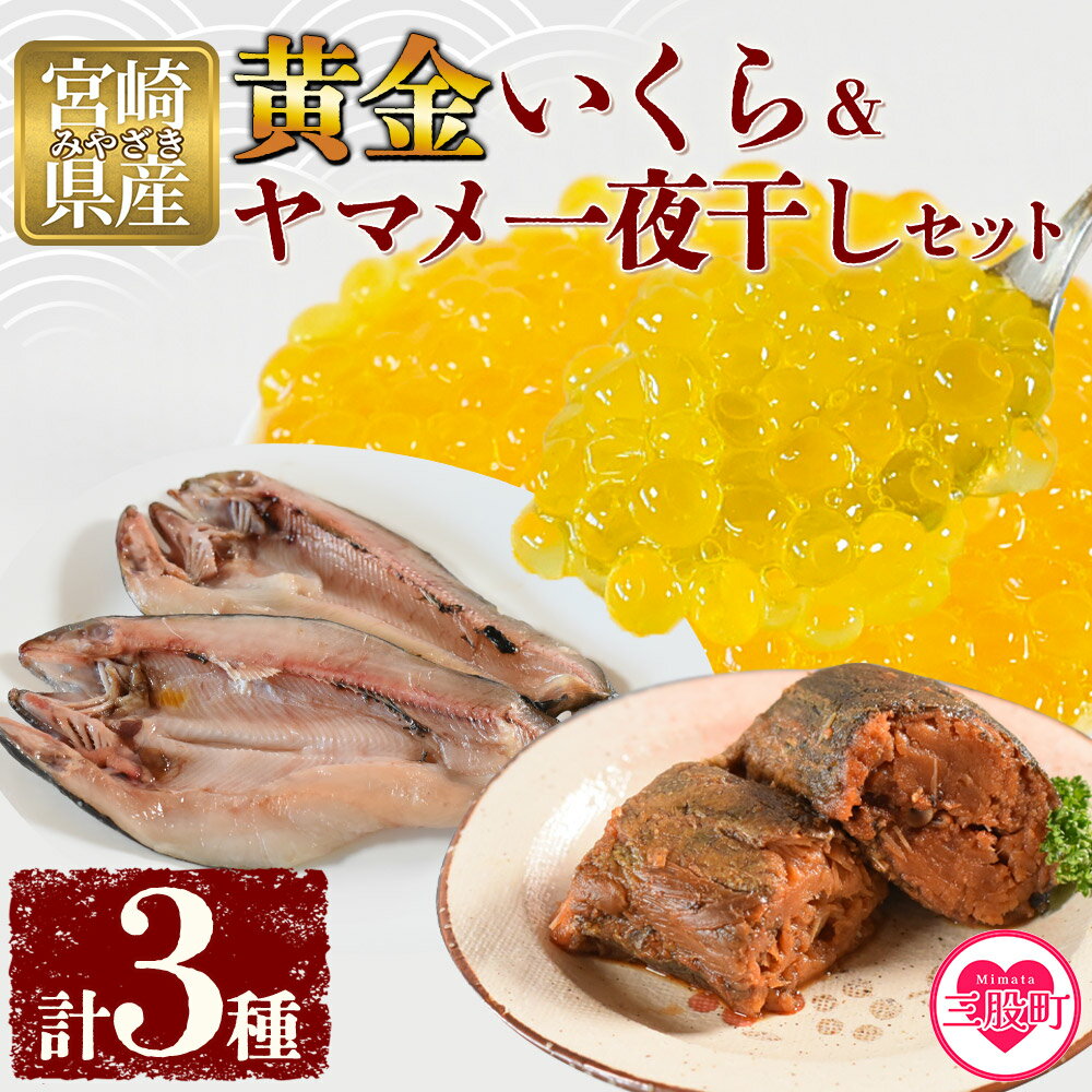 【ふるさと納税】＜黄金イクラとヤマメ一夜干しセット＞(3種)黄金イクラやヤマメを詰め合わせ！国産 九州産 宮崎 いくら 魚卵 やまめ 一夜干し おかず 詰め合わせ 年内発送 ギフト のし対応可能 贈答用 贈り物 プレゼント 感謝 孫 【A-0203-sk】【有限会社しゃくなげの森】