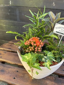 a27-010　セラミス アレンジメント 季節のグリーンの寄せ植え おまかせ