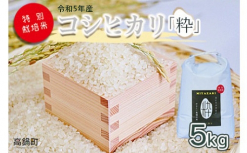 ＜令和6年度 特別栽培米「粋」コシヒカリ 5kg＞ ※入金確認後、翌月末迄に順次出荷します。 こしひかり お米 米 白米 精米 宮崎県 高鍋町