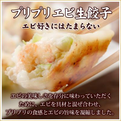 ふるさと納税 塩竈市 本格生餃子3種類詰め合わせ60個(12人前)　 |  | 02