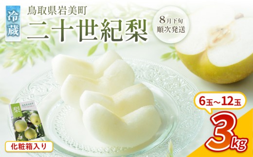 【先行予約】中野農園 梨 ”二十世紀梨” 3kg 化粧箱入り 冷蔵便発送｜鳥取 岩美 梨 なし ナシ 20世紀梨 青梨 果物 フルーツ ※お届けは2026年8月下旬頃～【41075】