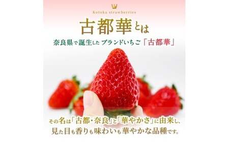 ブランド苺 新鮮 古都華 (小粒) 約500g [250g×2パック] 【2027年1月上旬～5月下旬に順次発送】／ スマイル葛城農業 ブランド いちご 苺 ことか イチゴ スイーツ フルーツ 甘い 