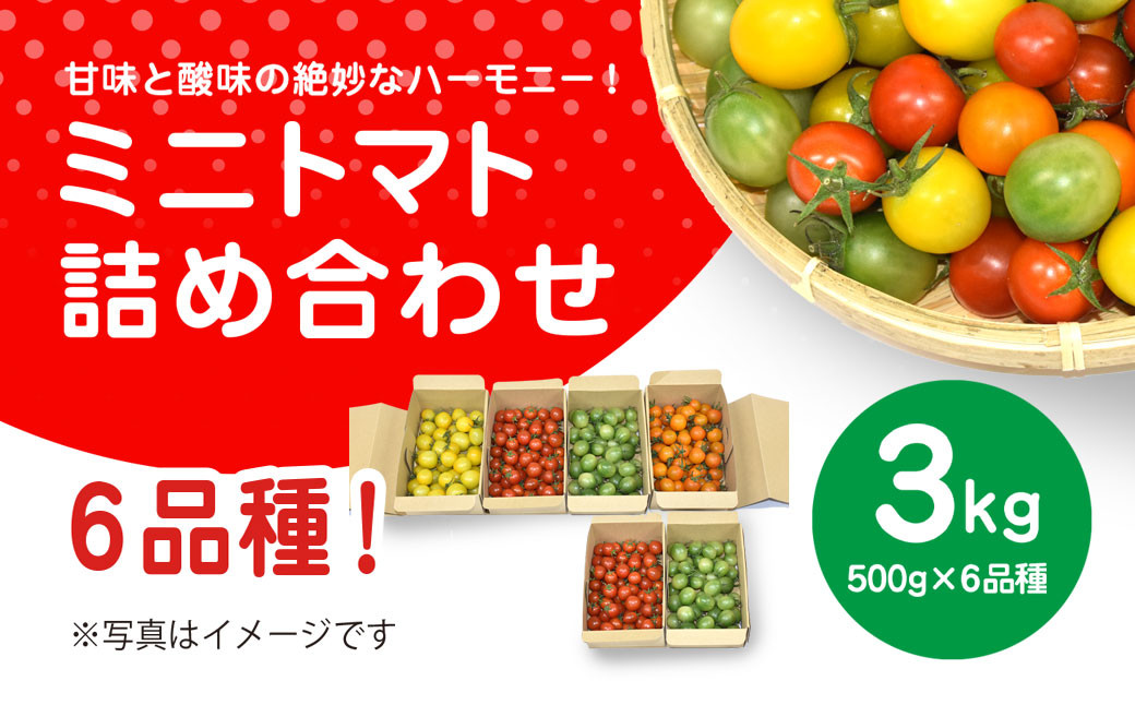 
            甘味と酸味の絶妙なハーモニー! ミニトマト 詰め合わせ  3kg（500g×6品種）/ ふるさと納税 やさい 野菜 とまと トマト ミニトマト 赤 黄 緑 茶色 カラフル 詰め合わせ 千葉県山武市 SMCA001
          