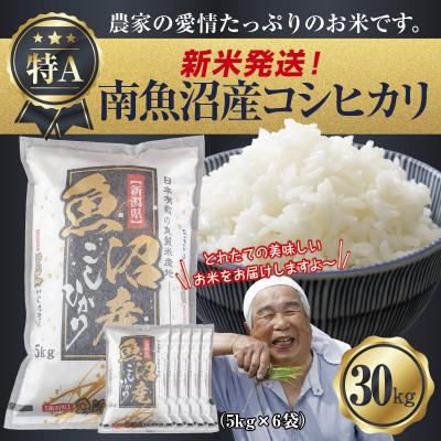 ふるさと納税 南魚沼市 【令和8年産 新米】 新潟県 南魚沼産 コシヒカリ 30kg (美味しいお米の炊き方ガイド付き)