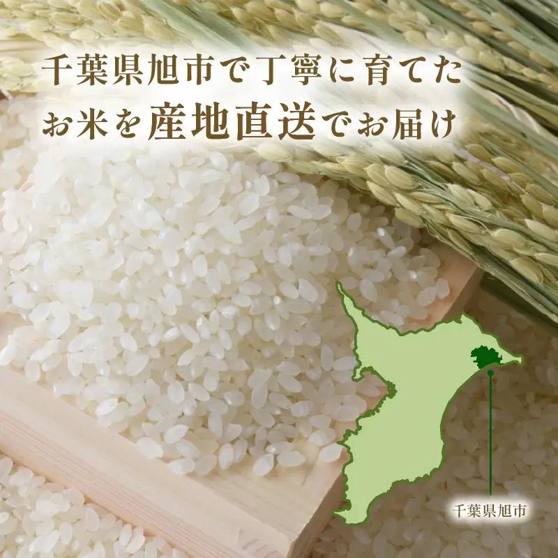 【先行予約】 玄米 5kg こしひかり 令和8年産 【 玄米 新米 】