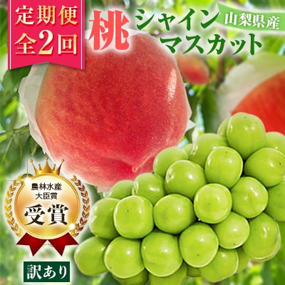 【発送月固定定期便】【訳アリ】山梨の桃とシャインマスカット全2回【配送不可地域：離島・沖縄県】【4063712】