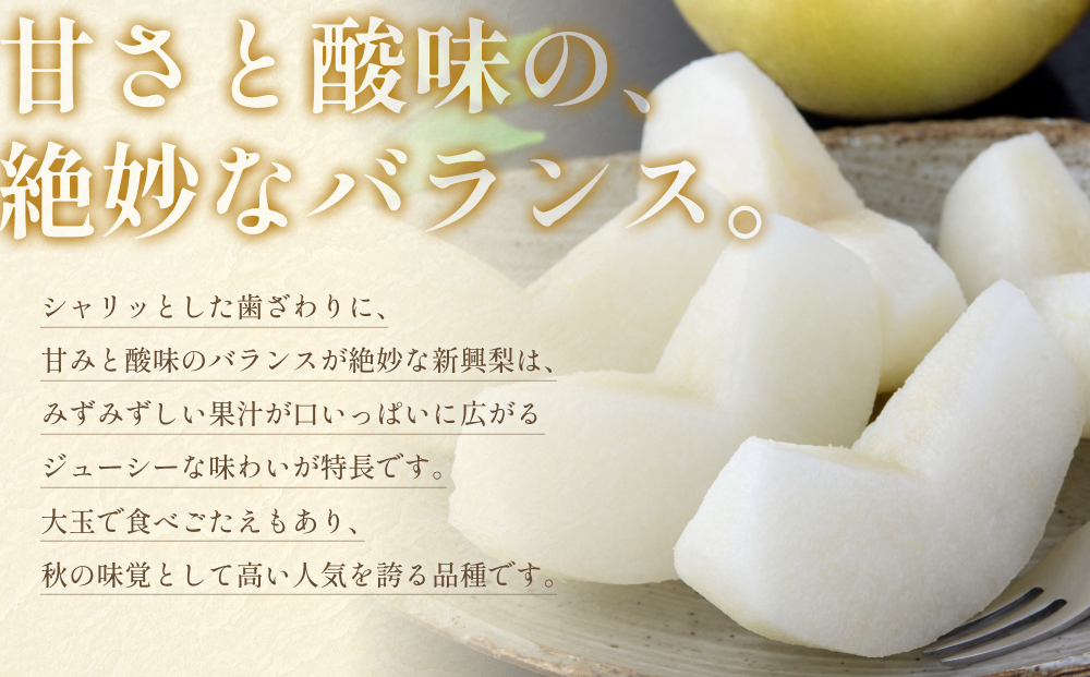 先行予約 新興梨（しんこうなし）4kg｜鳥取 果物 フルーツ なし 梨【41036】