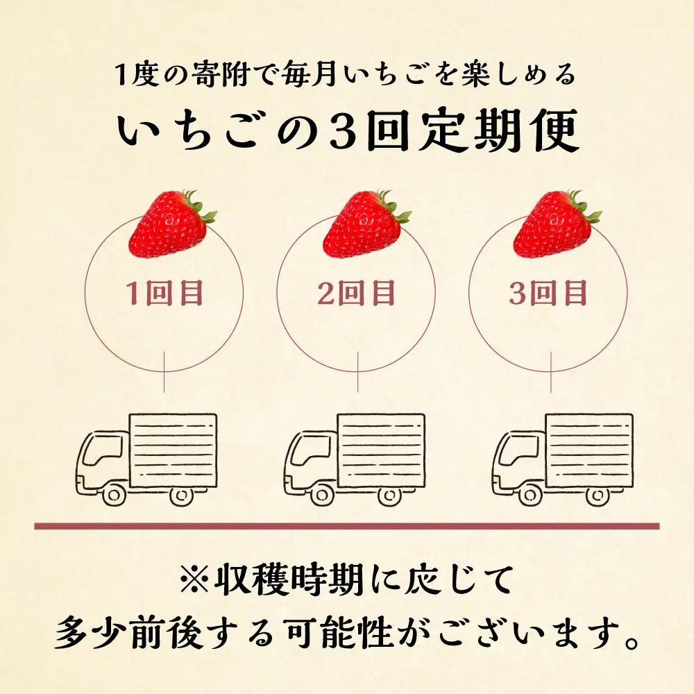 【定期便3回】【2027年1月より発送開始】自宅用 いちご 品種おまかせ 600-700g ×3回 [しあわせ苺] サイズ バラバラ 品種おまかせ （紅ほっぺ/よつぼし/かおり野）訳あり 訳アリ 農園