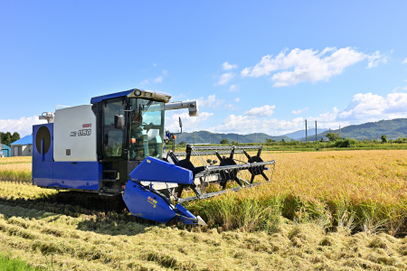 【定期便4回】北海道奈井江町　特別栽培米　ゆめぴりか　5kg