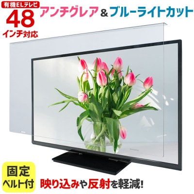 大阪府和泉市　有機ELテレビ48インチ用　テレビ画面保護パネル　アンチグレアタイプ　テレビガード【1669354】