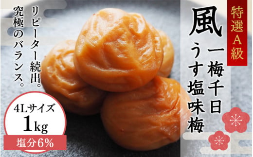 
一梅千日うす塩味梅（塩分6％） 「風」 A級4Lサイズ1kg / 和歌山 和歌山県産 田辺市 紀州南高梅 南高梅 梅干し 梅干 梅 うめ A級品 4L 肉厚 お米 おにぎり 焼酎 梅酒 健康 うす塩味 塩分6％ ご飯のお供
