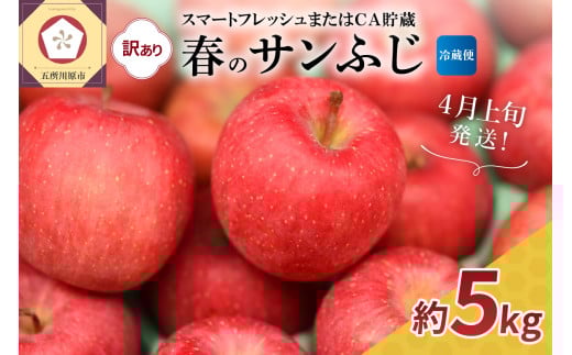【2026年4月上旬発送】【訳あり】サンふじ 約5kg【スマートフレッシュ貯蔵またはCA貯蔵・クール便】