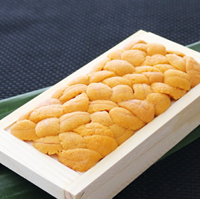 【ふるさと納税】＼年内配送間に合います！／ エゾバフンウニ 100g × 1 折 うに ウニ 雲丹 バフンウニ エゾバフンうに えぞばふんうに 蝦夷バウンウニ 蝦夷ばふんうに ウニ丼 うに丼 雲丹丼 刺身 お取り寄せ グルメ 海鮮 北海道 根室市 ふるさと納税 B-71025