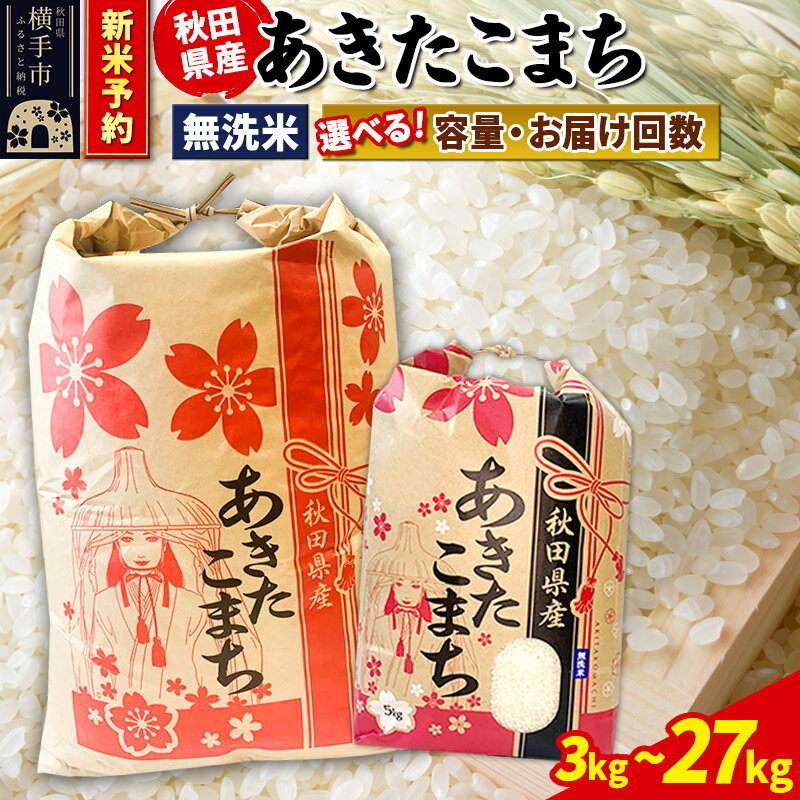 【ふるさと納税】《令和7年産 新米受付》あきたこまち【無洗米】定期便 3kg×1袋／5kg×1袋／10kg（5kg×2袋）／20kg（5kg×4袋）／27kg×1袋【選べる容量・お届け回数】
