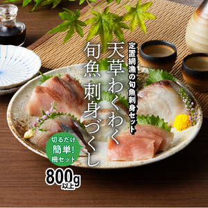 S059-015_天草わくわく旬魚刺身づくし（さく）8～9人前