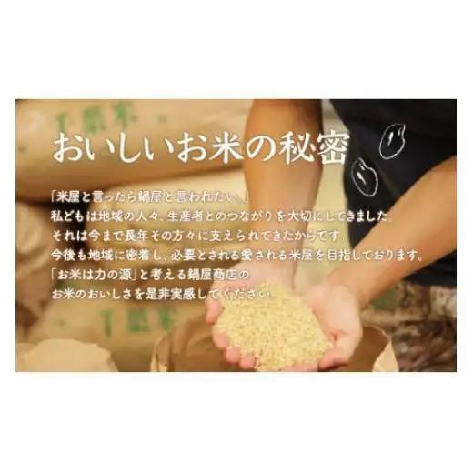 【最短2～7営業日出荷】令和7年産 千葉県産粒すけ 精米 10kg (5kg×2袋) / 粒すけ 千葉県産粒すけ E017