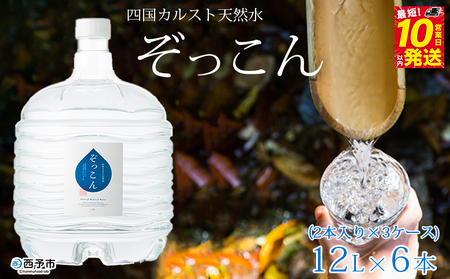 四国カルスト天然水ぞっこん (12L×2本)×3ケース 計6本 NZS0012