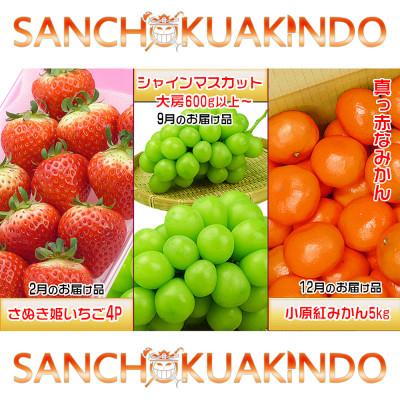 ふるさと納税 坂出市 【発送月固定定期便】創業100年の老舗が選んだ讃岐のフルーツの定期便【Bコース3回】全3回 |  | 01