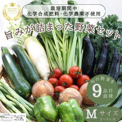 ふるさと納税 佐久穂町 【単発】信州北八ヶ岳からお届け〜のらくら農場の旨み野菜セット〜9種類前後(Mサイズ2〜3人分)