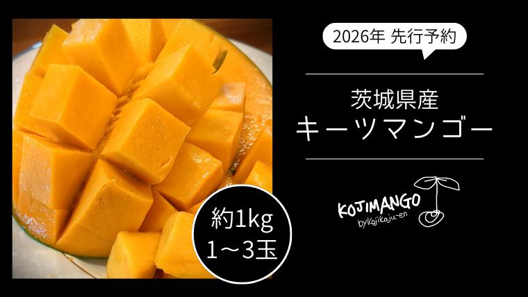 
                  【 先行予約 2026年9月中旬順次発送】 完熟マンゴー 約1kg ( 1～3玉 ) キーツ マンゴー 茨城県 八千代町 [CX006ya]
                