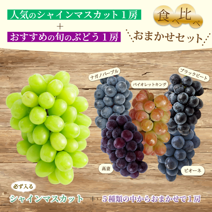 【先行受付】農園自慢のぶどうを食べくらべ♪シャインマスカット1房おまかせぶどう1房 2025年9月下旬発送予定 果物 くだもの フルーツ ブドウ 葡萄 202006